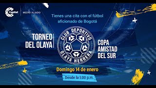 Final del Torneo de Fútbol el Olaya Amistad del Sur  DeportesCapital  ⭕ENVIVO [upl. by Iphlgenia]