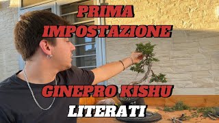 Prima impostazione ginepro kishu [upl. by Lhary]