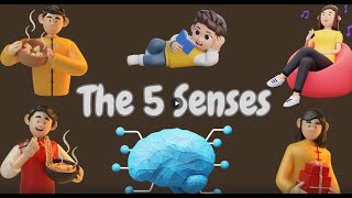 Five Senses Song  Educational Video For Kids  Simple Learning [upl. by Seiter]