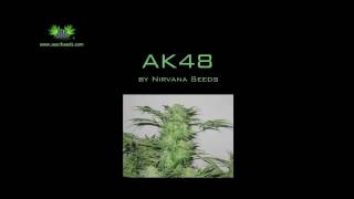 AK48mov [upl. by Laina]