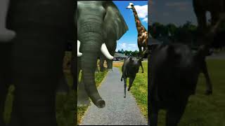 elephant stampede 🐘  elephant sound effect  animals running  animals Stampede  jumanji  animal [upl. by Antonetta606]