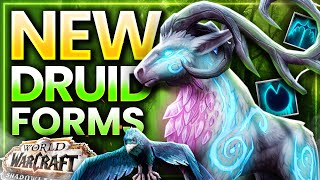 NEW Druid Forms amp How to Get Them Guide  Shadowlands Patch 915 [upl. by Woodrow793]