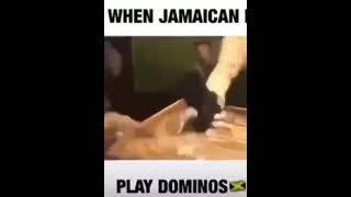 When Jamaicans Playing Dominoes🇯🇲😂 [upl. by Wilek]