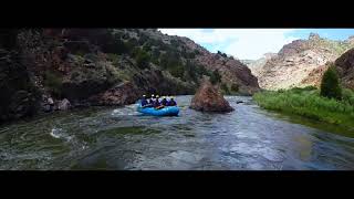 Arkansas River Rafting Trips  The Best Whitewater Rafting In Colorado [upl. by Akelam]