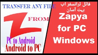 Zapya How to Transfer Files Between android to PC Easily [upl. by Jaquith]