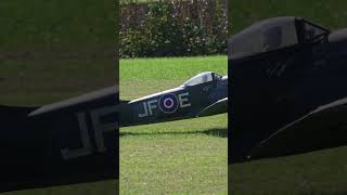 Large HyperRealistic RC Hawker Tempest Clostermann Taxiing on Grass short shorts [upl. by Jandel]