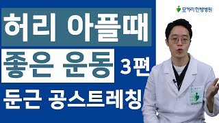 허리통증 스트레칭 만성 허리통증이 있다면 매일 이 공운동을 꼭 해보세요 [upl. by Cirderf]