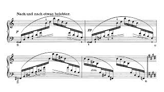 Scharwenka  3 Klavierstücke Op 86 AudioSheet Tanyel [upl. by Enimrej]