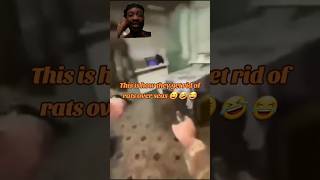 Pest Control 🐀 😆 shortvideo content pestcontrol comedy lol shoot rat subscribe comedyvideo [upl. by Kaycee]