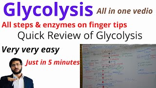 Glycolysis  Quick Review  All Steps  Enzymes  Trick to Learn  Glycolytic Pathway  Products [upl. by Lada930]