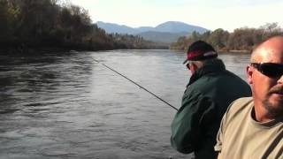 Indicator Nymphing on Lower Sacramento River [upl. by Alul]