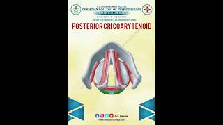 POSTERIOR CRICOARYTENOID… [upl. by Mata]