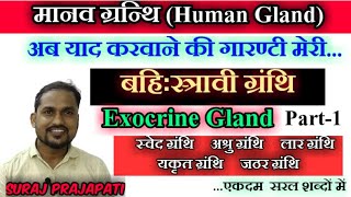 मानव ग्रन्थि  Human gland in hindi  Endocrine Gland  Exocrine Gland  ARSH GS  By Suraj sir [upl. by Cutcheon]