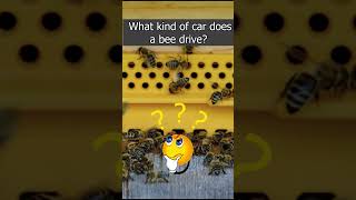 Bee and Car Riddles to solve bee car riddles solve howto getleboss [upl. by Atneciv]