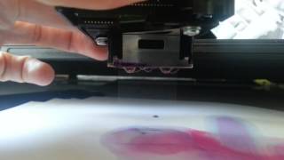 Cleaning Epson l1800 head [upl. by Macguiness717]