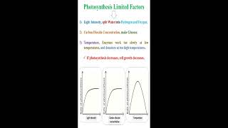 Photosynthesis Limited Factors geneticteacher [upl. by Ahsirkal]