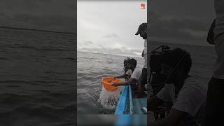 Catching Trevally Fish with a Live Bait fishing fishingvideo fishingtime [upl. by Tillion]