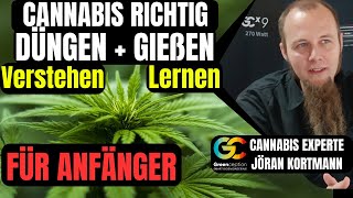 Cannabis Anbauen richtiger Dünger und gießen Nährstoffmangel Überdüngung Schädlinge für Anfänger [upl. by Ailenroc]