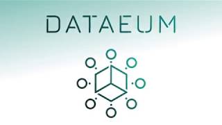 Dataeum Founders [upl. by Constancia211]