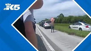 New video shows arrest of man accused of attempted Trump assassination in Florida [upl. by Lucina]