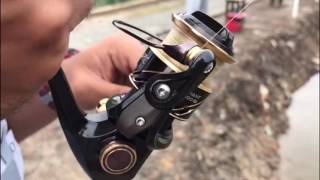 Reel testing Atc Valiant 800cf 19kg golden snapper [upl. by Aitsirhc420]