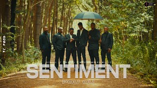 Denzel amp Swanki  SENTIMENT POU OU ft Wave Empire Music Clip Officiel [upl. by Neelsaj]