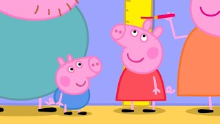 Wie groß ist Peppa  PeppaWutz Volle Episoden [upl. by Etem693]