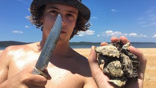 Collecting amp Eating Fresh Oysters Cast Netting amp Spearfishing [upl. by Drislane]