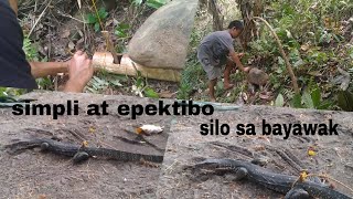 simpleeffective snare trap for monitor lizardProbinsyanong Marino [upl. by Eednak868]