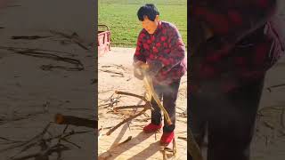 What An Interesting Agriculture Tool satisfying woodworking plants [upl. by Eerot]