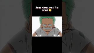 Zoro Challenge The Dozo 😤 onepiece zoro [upl. by Eillo160]