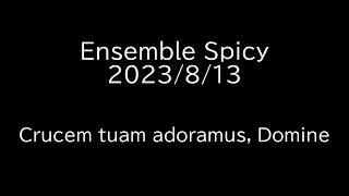 Crucem tuam adoramus Domine Ensemble Spicy 県大会 [upl. by Anawqahs]