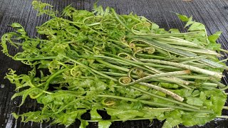 Fiddlehead Fern Fry  Vegetable Recipe  Ppnagavlog [upl. by Coulter]