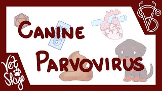 Canine Parvovirus  causes pathophysiology clinical signs diagnosis treatment prevention [upl. by Notyrb474]