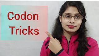 CODON  tricks  Very simple way  start codon stop codon  genetic code  codon in hindi [upl. by Aisayt787]