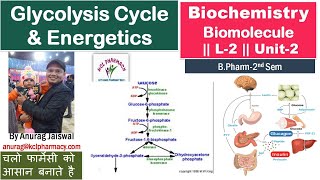 Glycolysis Cycle amp Energetics  L2 Unit2 Biochemistry [upl. by Arikehs560]