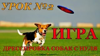 🔴 ДРЕССИРОВКА СОБАК С НУЛЯ  УРОК №2  ИГРА  ПЕРВЫЕ ШАГИ Дрессировка собак Дрессировка щенка [upl. by Charbonnier775]