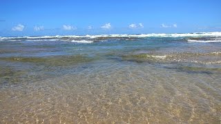 Cattlewash Beach Barbados [upl. by Woodson]