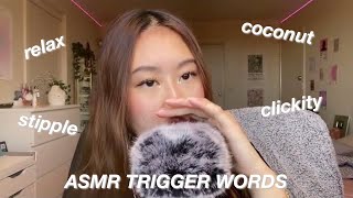 ASMR TRIGGER WORDS [upl. by Aluap]