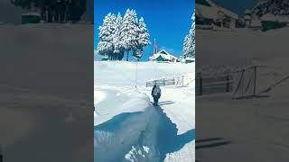 Winter In Kashmir Kashmir Jammu Kashmir Kashmir Today foryou [upl. by Notgnihsaw]