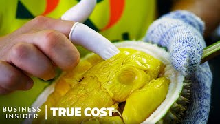 The True Cost Of Durian’s Explosive Growth  True Cost  Business Insider [upl. by Cadman]