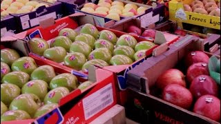 Le marché de Rungis  reportage vidéo [upl. by Saravat]