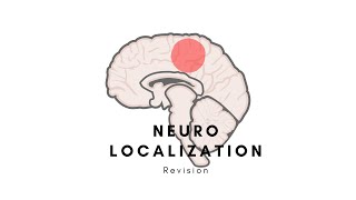 Neurology  Localizing a lesion neurolocalization Stroke  MS  Palsy  Motor neurons [upl. by Merle]