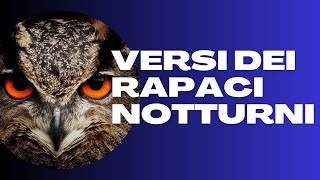 I Versi dei Rapaci Notturni [upl. by Upali]