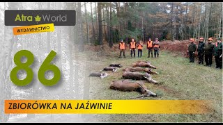 Polowanie zbiorowe na Jaźwinie [upl. by Krid]