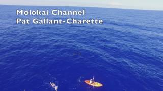 Pilot whales in Molokai Channel 2017 [upl. by Carolyn]