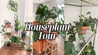 My Full Houseplant Tour 2024 30 Plants  Easy to Care for Houseplants  My Indoor Plant Collection [upl. by Atokad133]