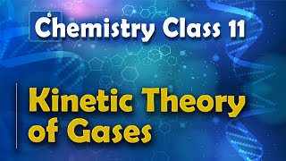 Kinetic Theory of Gases  States of Matter  Chemistry Class 11 [upl. by Branen]