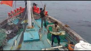 Fishing Vessel Veraval [upl. by Ayanahs]