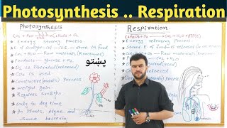 Comparison between photosynthesis and respiration in pashto  9th class biology  sabar khan lecture [upl. by Sesiom]